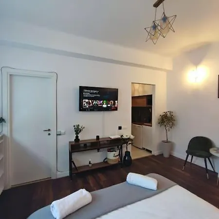 Studio Calea Victoriei Apartment Bucharest