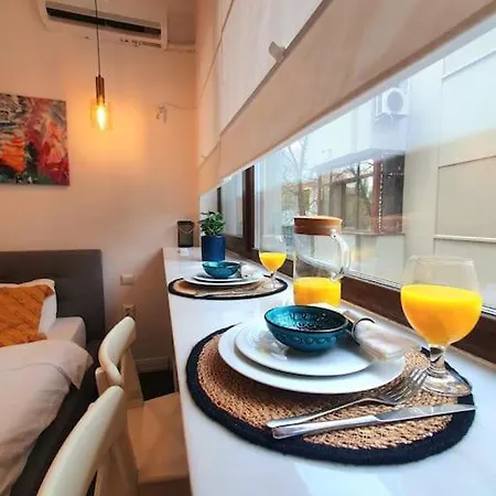 Studio Calea Victoriei Apartment