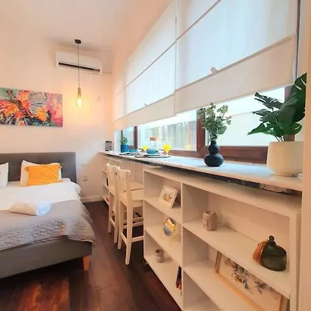 Apartment Studio Calea Victoriei *